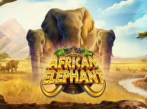 African Elephant™